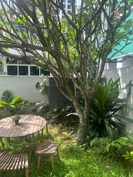 The Vision (D5), Condominium #466474801